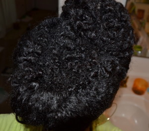 DSC 0126 300x263 Todays Hair