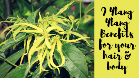 9 Ylang Ylang Benefits for Your Hair & Body