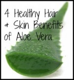 aloethumb 150x162 Natural Hair Slang | Words Every Naturalista Should Know