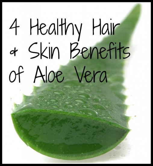aloevera 508x550 4 Healthy Hair & Skin Benefits of Aloe Vera (Gel, Juice)