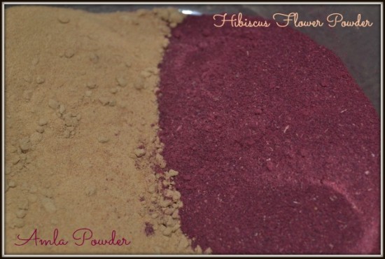 amlabiscus 550x370 Amla & Hibiscus Curl Defining Deep Conditioner Recipe