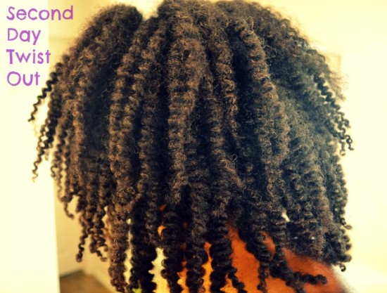 secondday 550x417 Amla & Hibiscus Curl Defining Deep Conditioner Recipe