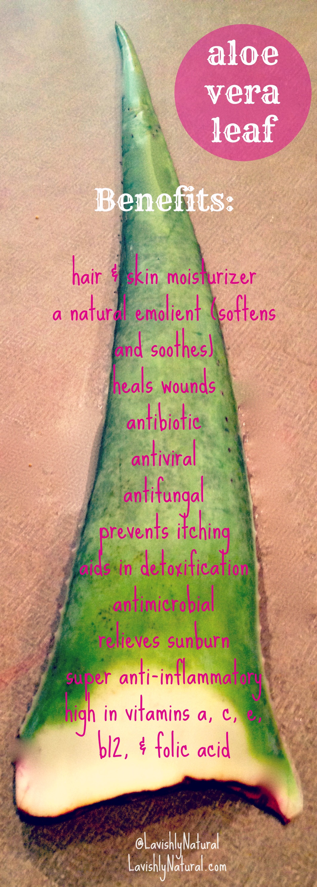 aloe vera