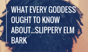 What Every Goddess Ought To Know About…Slippery Elm Bark