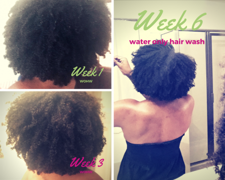 week6wohw